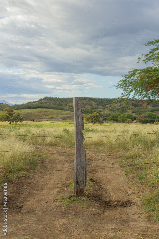 Fototapeta premium fence with grass and clouds