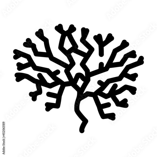 irish moss seaweed line icon vector. irish moss seaweed sign. isolated contour symbol black illustration photo