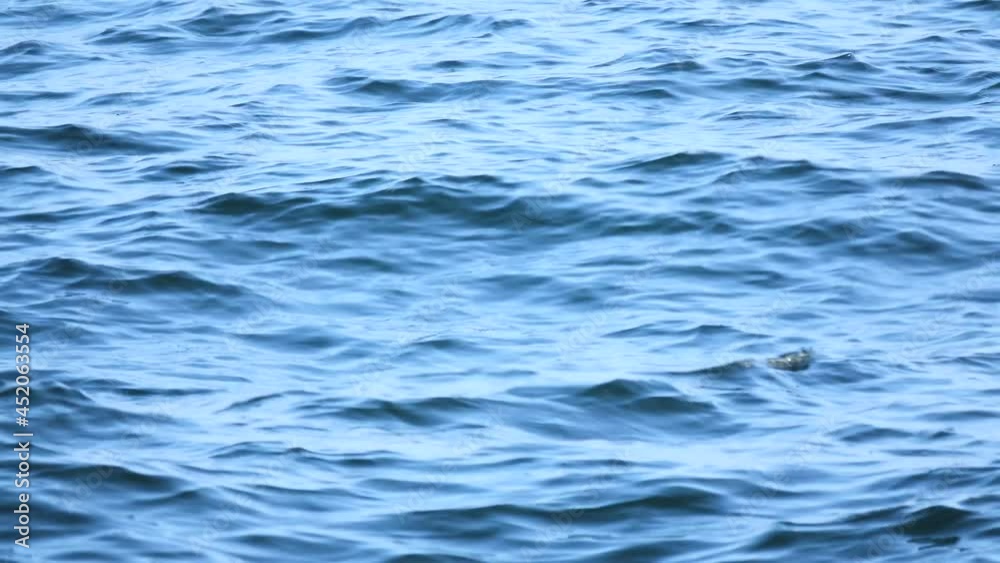 海の朝波_18