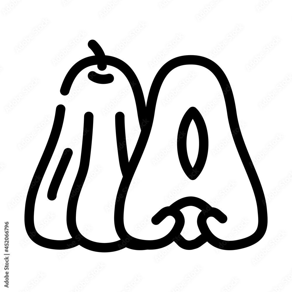 rose apple fruit line icon vector. rose apple fruit sign. isolated contour symbol black illustration rose apple fruit line icon vector. rose apple fruit sign. isolated contour symbol black illustration