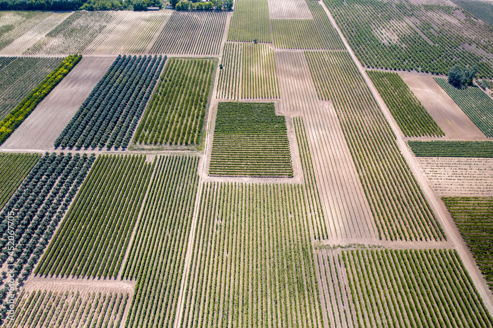 Hungary - vineyards from above, photographed from a drone