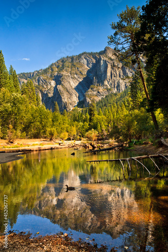 Fototapeta Naklejka Na Ścianę i Meble -  Merced River, Yosemite National Park, California, USA