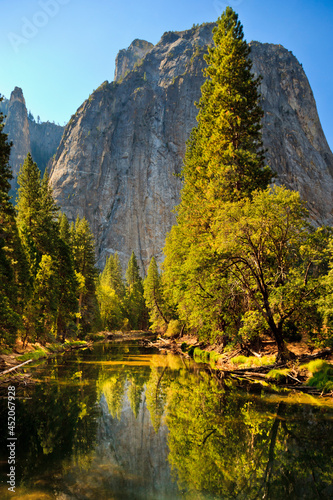 Fototapeta Naklejka Na Ścianę i Meble -  Merced River reflects forest along the Merced River in Yosemite Valley, California, USA