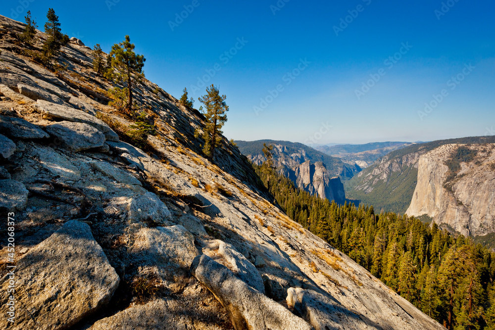 Rocks and Trees on Sentinel Dome, Yosemite National Park, California, USA