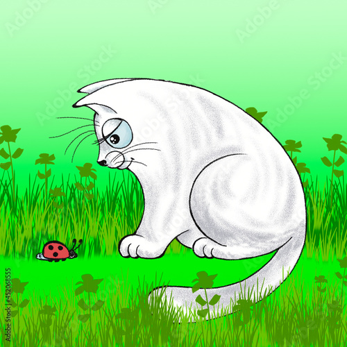 A white cat looks at a ladybug against a background of grass. Digital drawing.