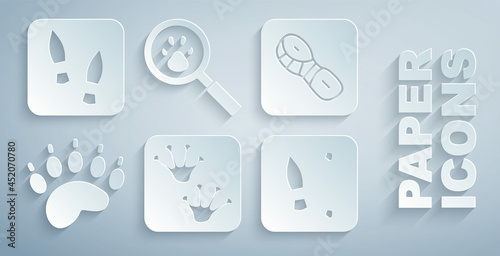 Set Frog paw footprint, Human footprints shoes, Bear, Paw search and icon. Vector