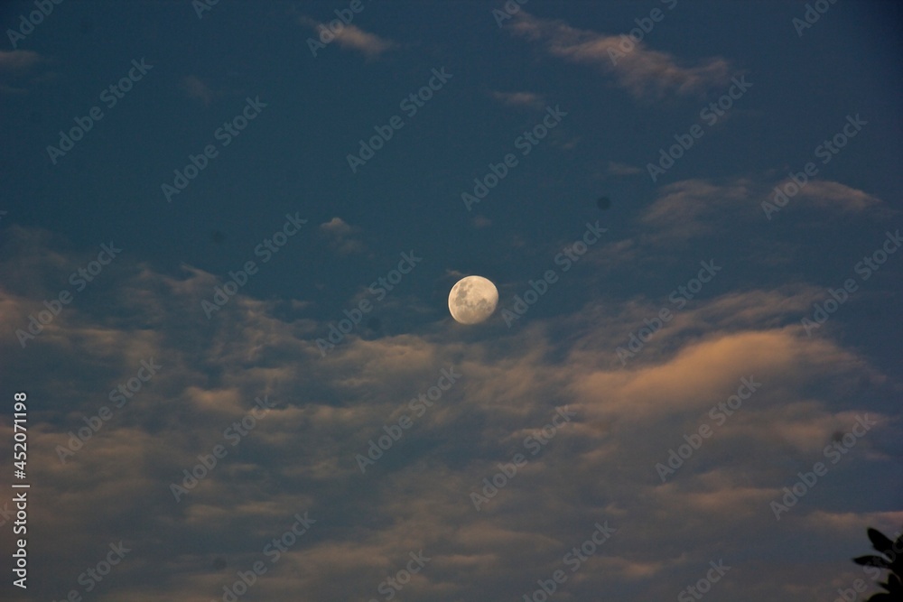 AfterMoon AfterMoon