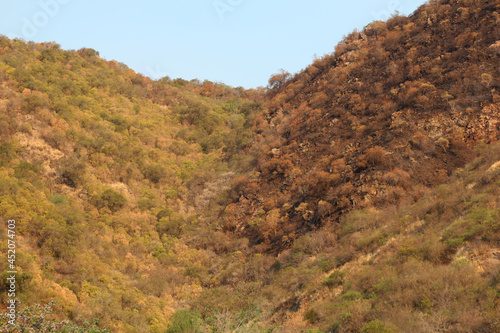 Villa Carlos Paz, Córdoba,Argentina. 10-18-2020. Mountainside burned after big forest fire, in contrast with green mountainside.
