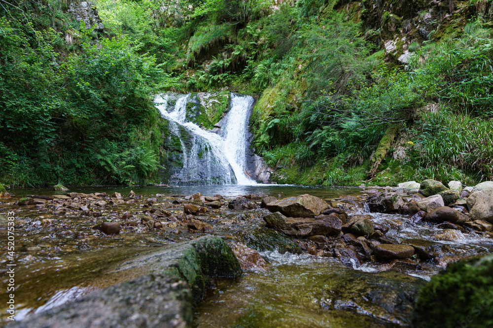 Fototapeta premium wildbach, wasserfall, natur,