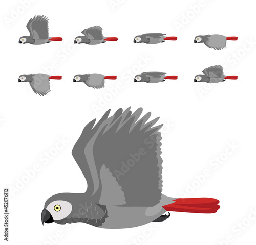 Grey Parrot Flying Animation Sequence Cartoon Vector