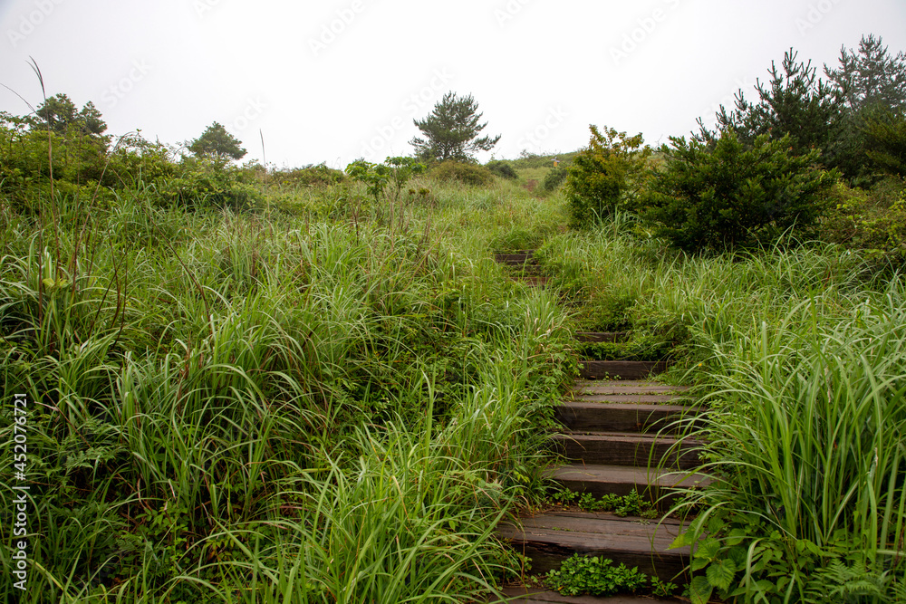 제주 따라비오름