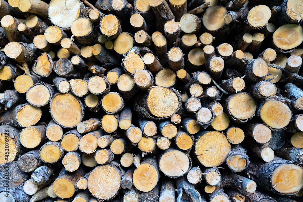Piled of logs pine , waiting to be processed,lumber mill, made into lumber for construction or firewood. Piled of logs pine , waiting to be processed,lumber mill, made into lumber for construction or firewood.