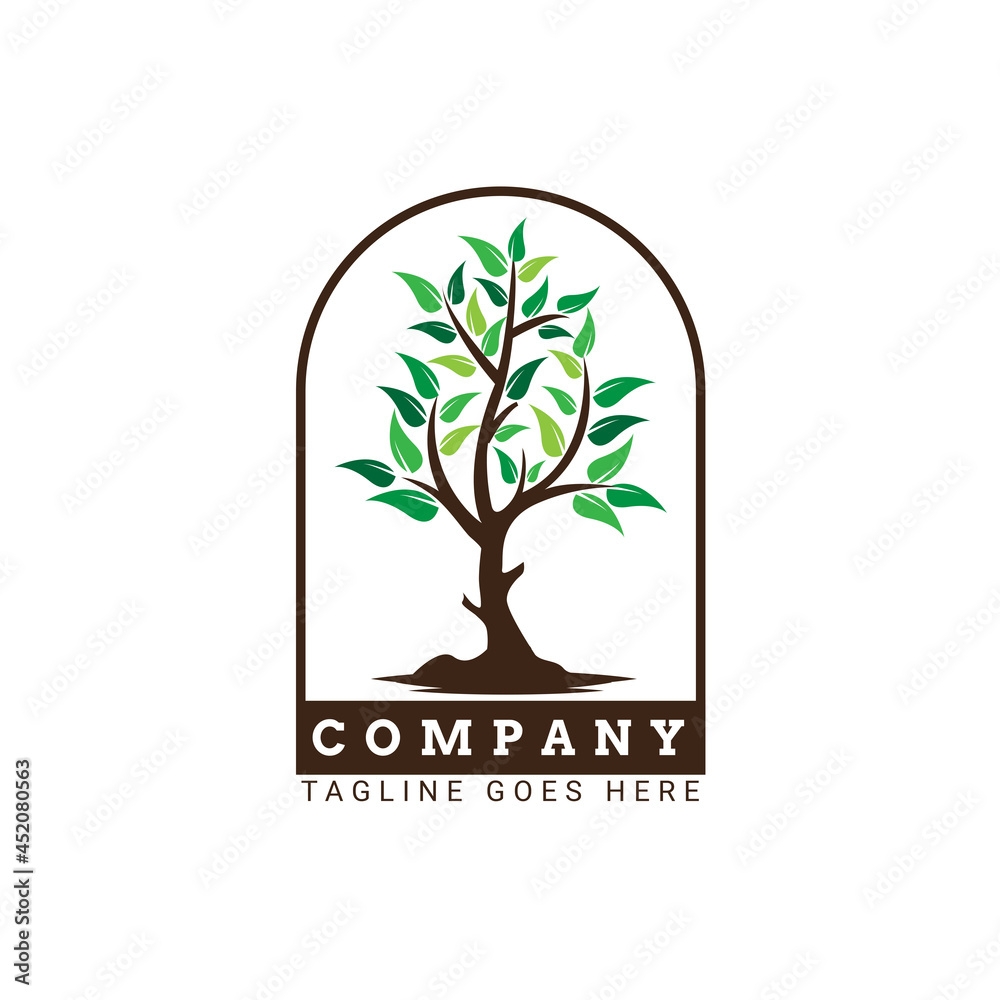 Obraz premium tree logo design vector, nature element logo design template
