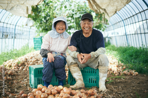 収穫した玉ねぎの前で微笑む夫婦 photo