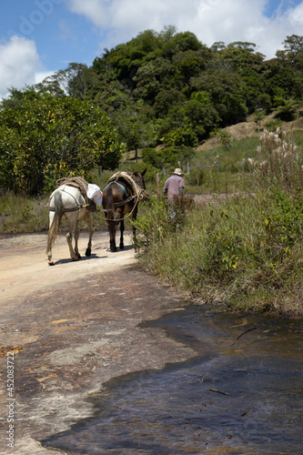 horse and rider on the road near to the river 