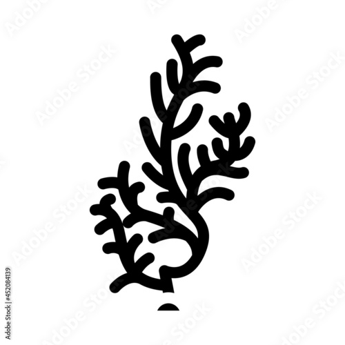 cladophora glomerata seaweed glyph icon vector. cladophora glomerata seaweed sign. isolated contour symbol black illustration photo
