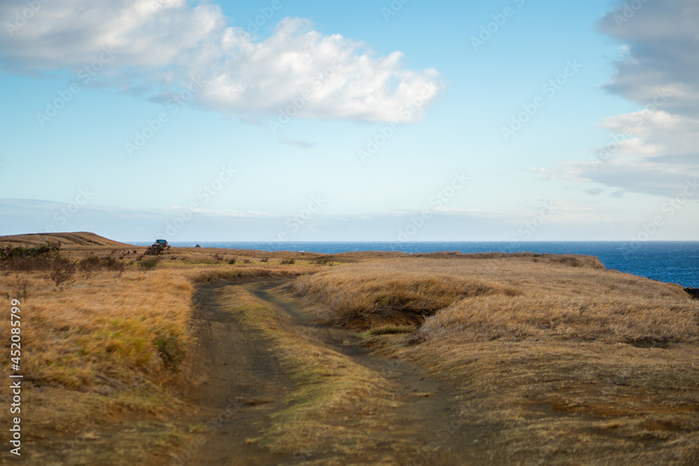 Black rock cliffs overlooking the ocean