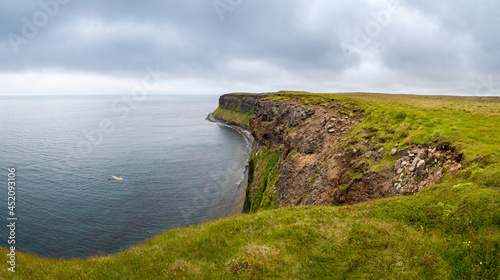 Birds market grassland rock cliffs at Iceland ocean shoreline under moody sky