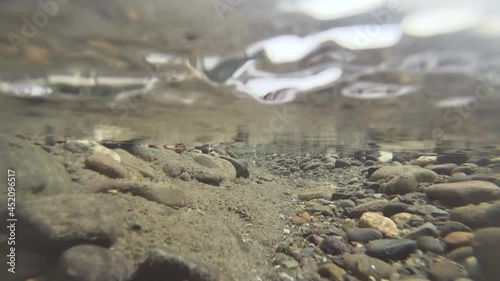 underwater world of a mountain river in the summer