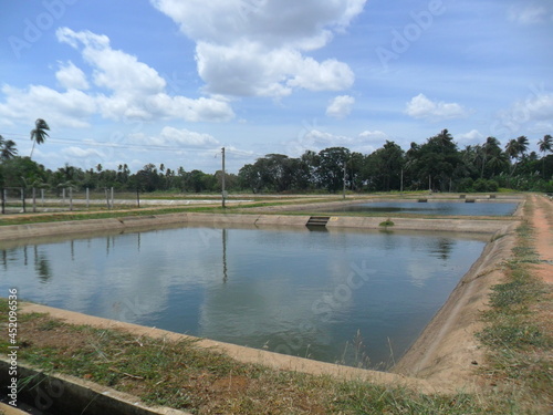 Anuradhapura Kalawewa Internal Fisheries and Aquaculture Training Institute Premises - Sri Lanka