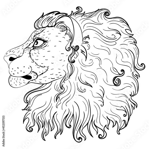 Fototapeta Naklejka Na Ścianę i Meble -  Lion head profile design
