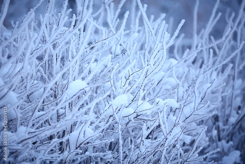 branches covered with hoarfrost background, abstract landscape snow winter nature frost branches covered with hoarfrost background, abstract landscape snow winter nature frost