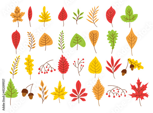 Yellow, green and brown autumn leaves of various plants. Maple, oak, chestnut leaves and acorns cartoon illustration set. Foliage, fall decoration, September concept