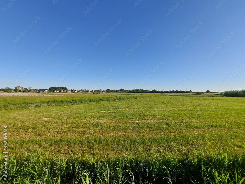 Meadows where new residential area 't Suyt in waddinxveen will come in the future