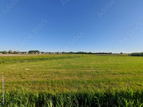 Meadows where new residential area  t Suyt in waddinxveen will come in the future