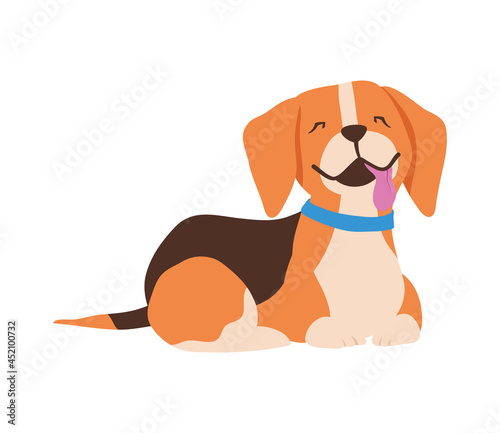 dog of the beagle breed