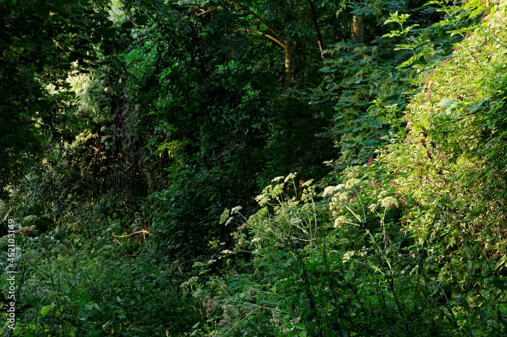 Seiglats Regional Nature Reserve in Île de France country
