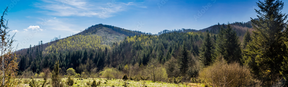 panorama of the Carpathian mountains