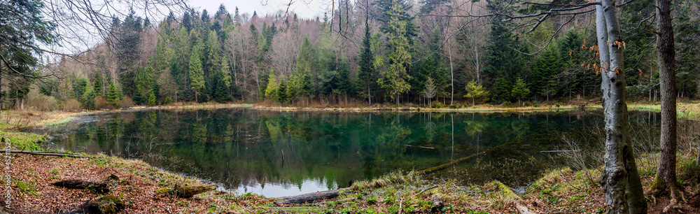 Polianytske lake in the forest