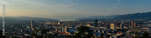 Large panorama of the city of Zurich in the morning with a blue sky from the Waid. 