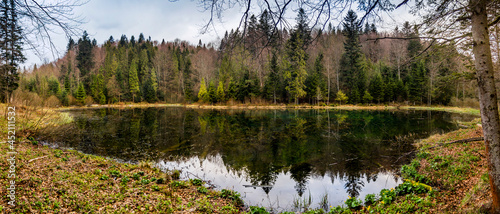 Polianytske lake in the forest
