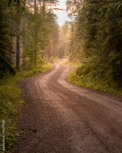 road in the woods in Finland