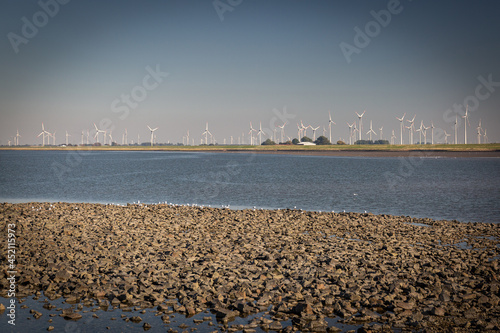 Obraz na płótnie Spaziergang entlang der Nordseeküste mit Blick auf die Windräder w salonie