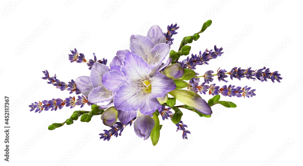 Purple freesia flowers with lavender in a line floral arrangement isolated  Stock Photo