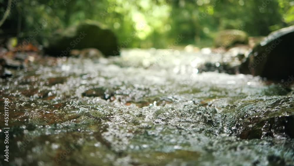 Wild mountain river flowing through stone boulders, Water clear stream river flowing in the deep forest, Slow motion
