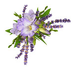Purple freesia flowers with lavender in a corner floral arrangement isolated
