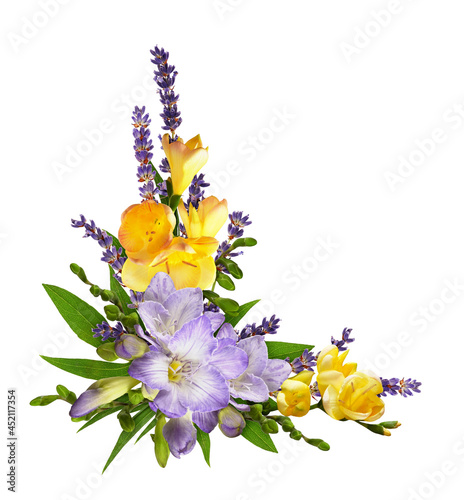 Purple and yellow freesia f...