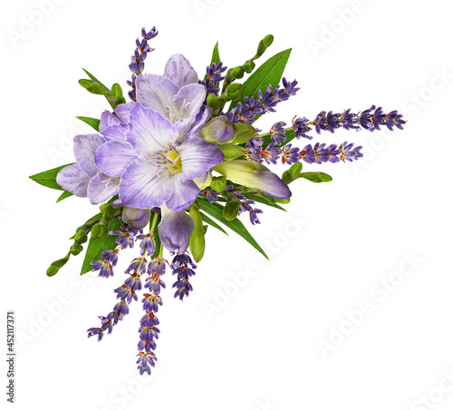 Purple freesia flowers with...