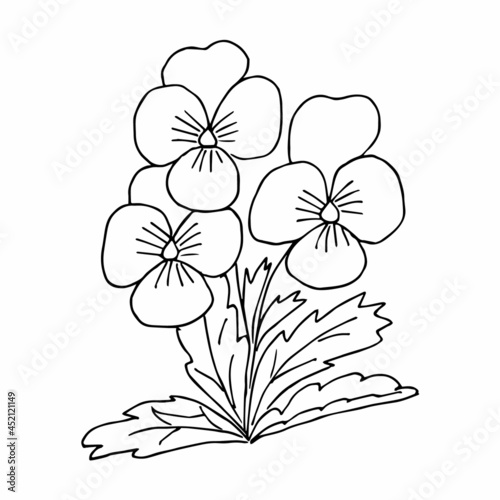 Hand drawing flower arrangement doodle or sketch style, postcard, poster, coloring book page, black and white vector