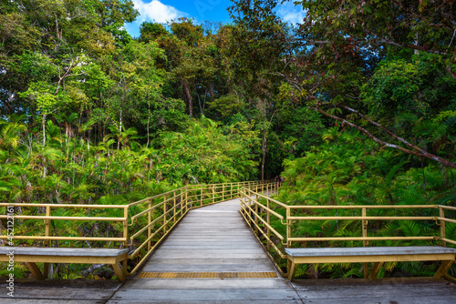 Wooden boardwalk in the rainforest of Manuel Antonio National Park, Costa Rica photo
