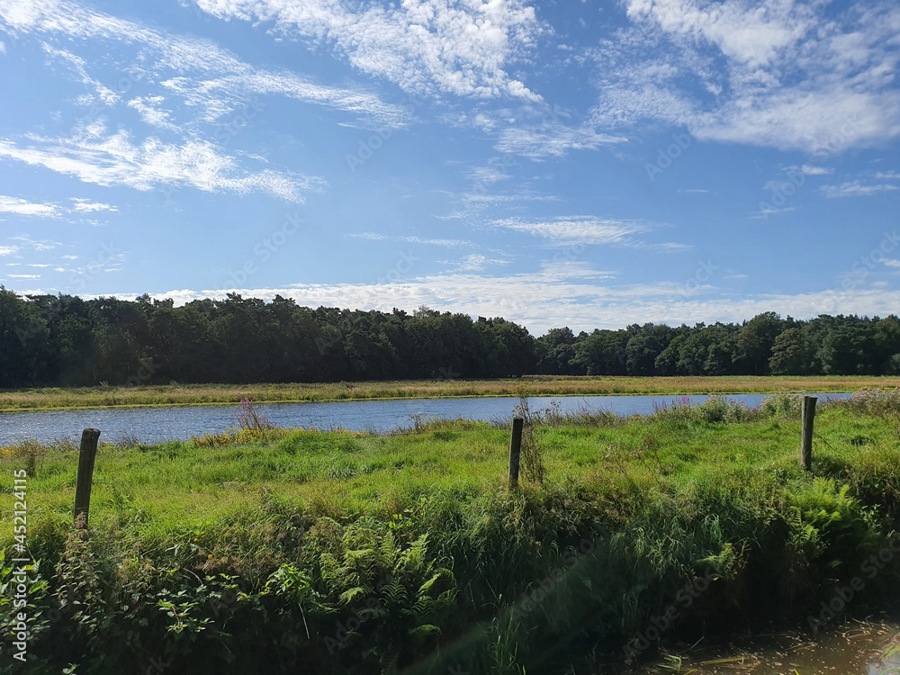 landscape with trees clouds and river