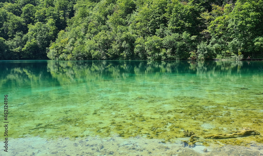 Beautiful calm lake with clear water in the forest in summer Beautiful calm lake with clear water in the forest in summer