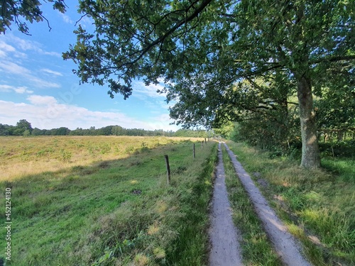 path in the countryside