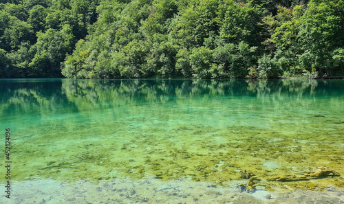 Beautiful calm lake with clear water in the forest in summer