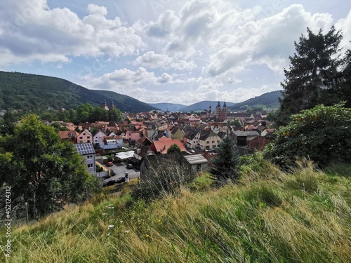 Panorama Ausblick auf Fürstenresidenz Stadt Amorbach photo