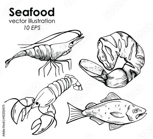Sea and fish doodle sketch vector illustration line graphic different types of fish. Seafood restaurant and shop cooking menu.